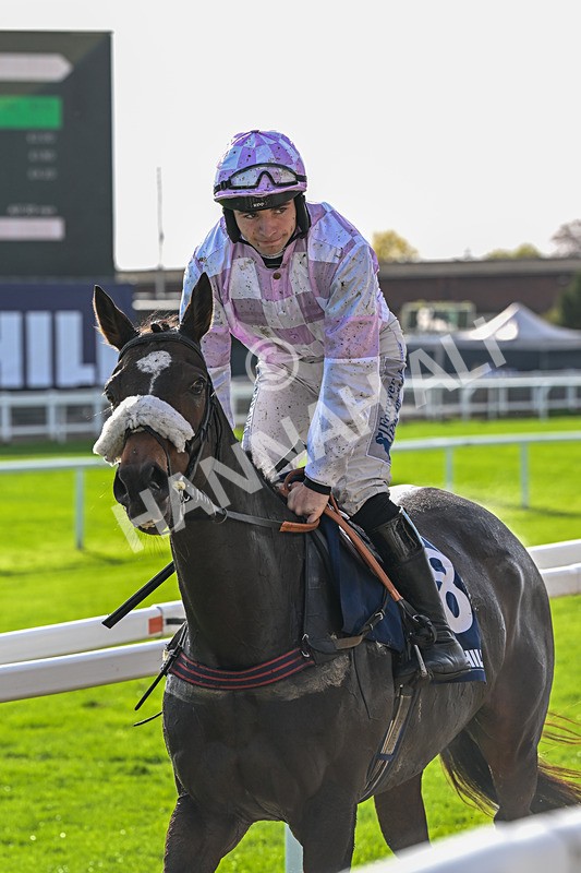 241025-Race 1-French Ship-2261 - Race 1