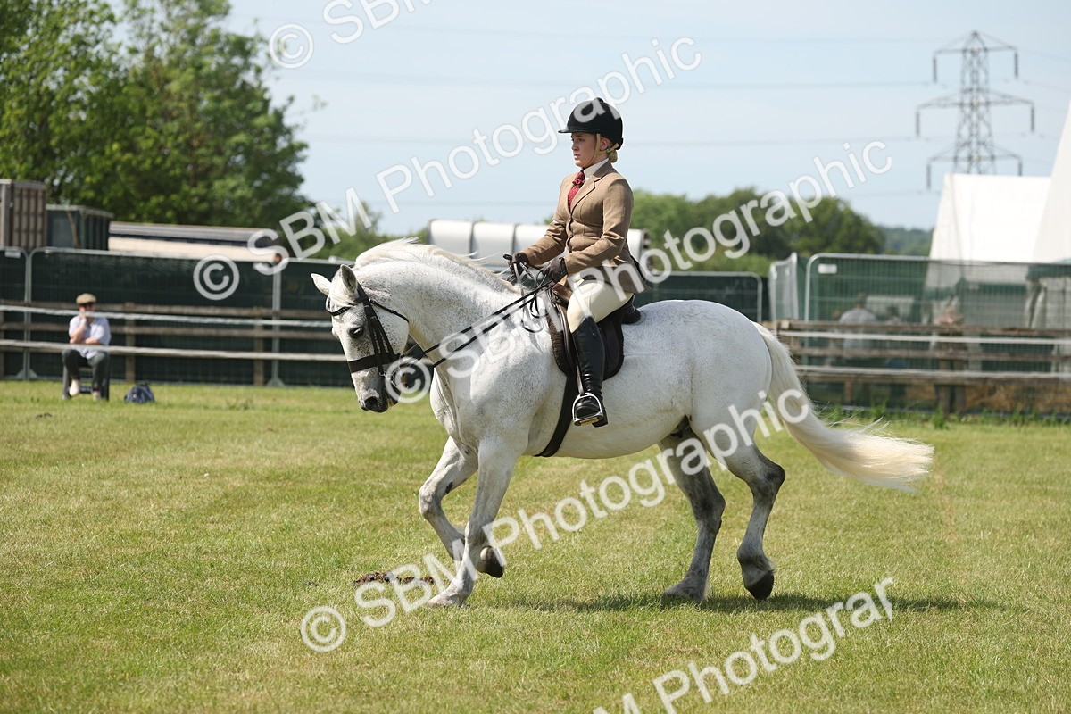 SBM_07608 - Class 26-30 - Mountain and Moorland Ridden