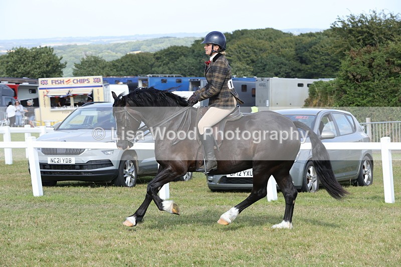 1X9A6037 - Class 43: NPS Welsh C & D