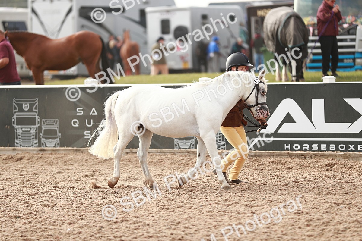 SBM_09851 - Class 203 Young Handler, 10 years and under