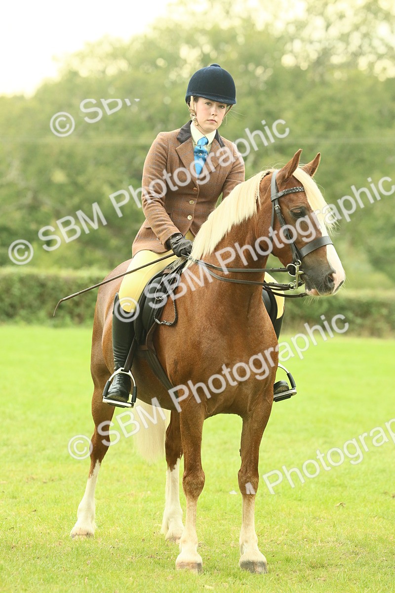 SBM_72215 - S60 - Mountain & Moorland Ridden Large Breeds