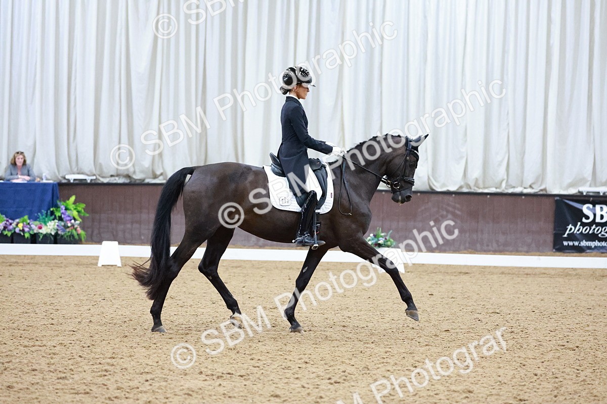 SBM_021164 - Class 14 - FEI Grand Prix - 17.40-18.34