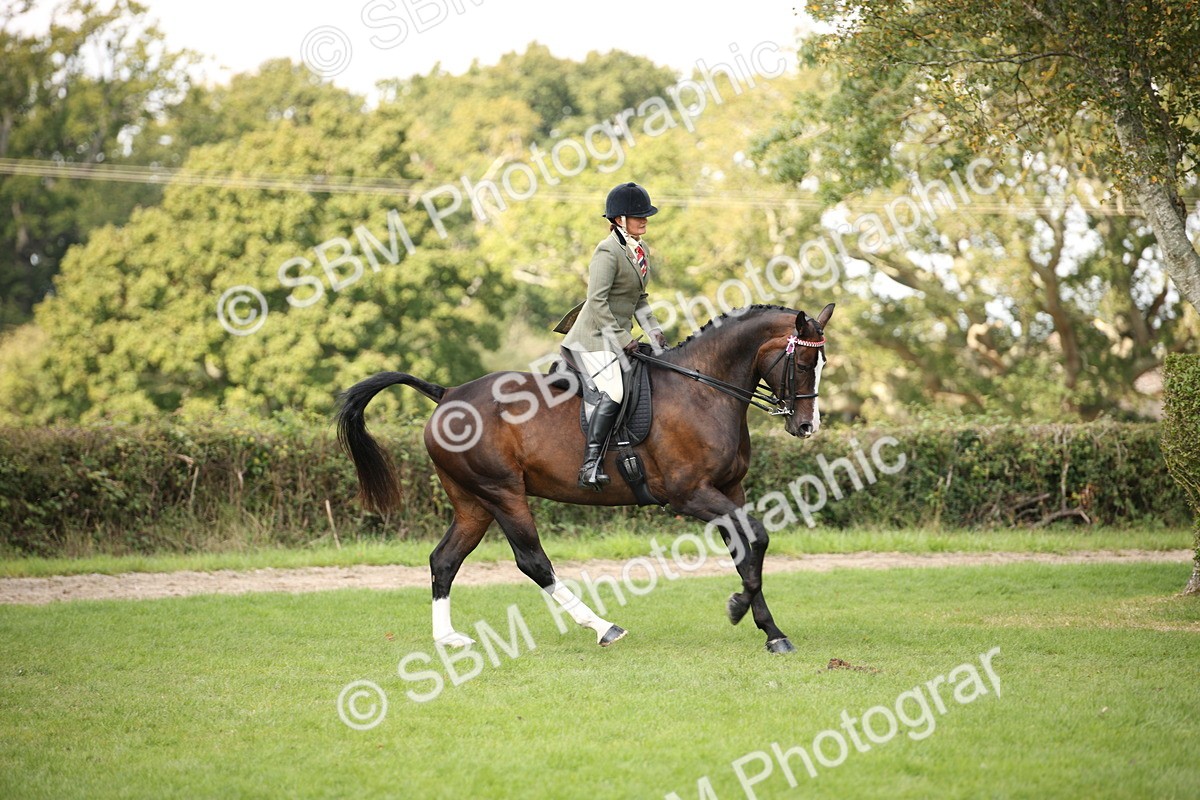 SBM_65929 - S64 - Riding Horse & Hack & Thoroughbred Ridden