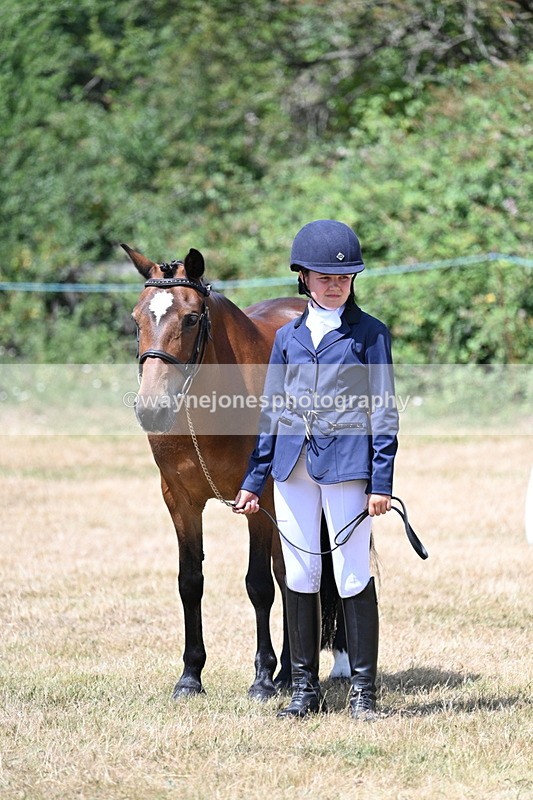 WJ7_2174 - Class 5 Most Handsome Gelding (up to 14.2hh) in hand
