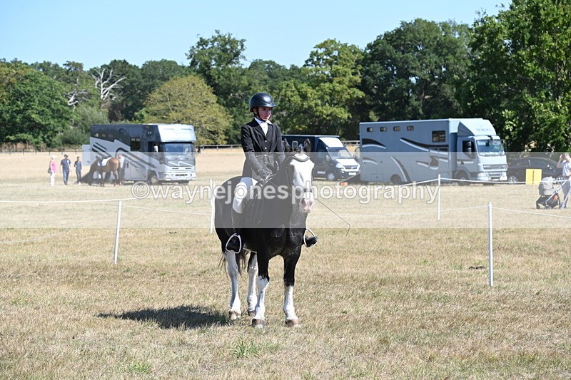 WJ6_8455 - Class 37a Best Loan Pony Ridden