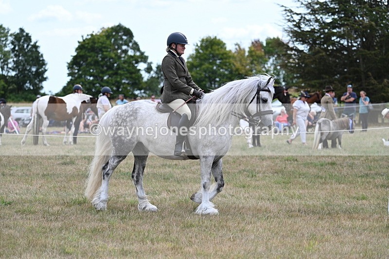 WJ7_4679 - Class 12 Ridden Cob