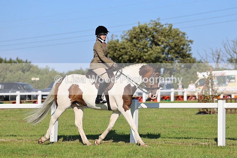 IMG_1194 - Class 27: Ridden Plaited Coloured Horse
