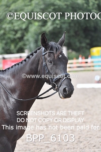 BPP_6103 - NOVICE TEST 4 + 6 LONG ARENA