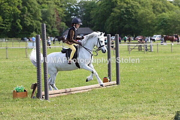 IMG_2129 - Working Hunter