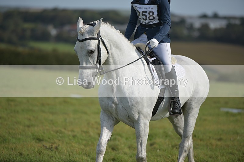 RAY_7693 - Class 2B: Trekenning Open: Dressage