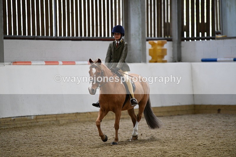 WJ5_7269 - Class 11 Ridden PC - RC Pony