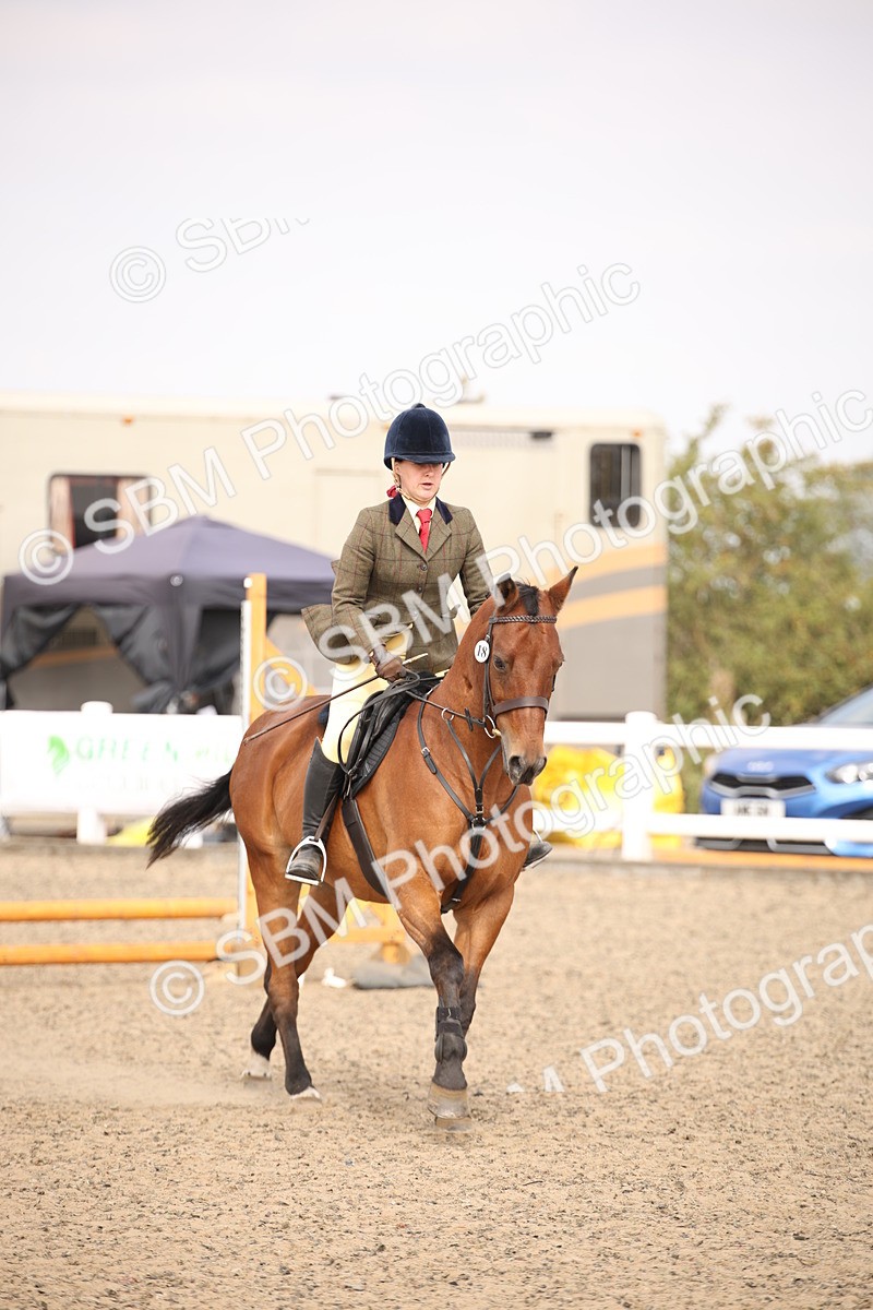 SBM_12906 - Class 406a - Working Veteran 50cm (15-19)