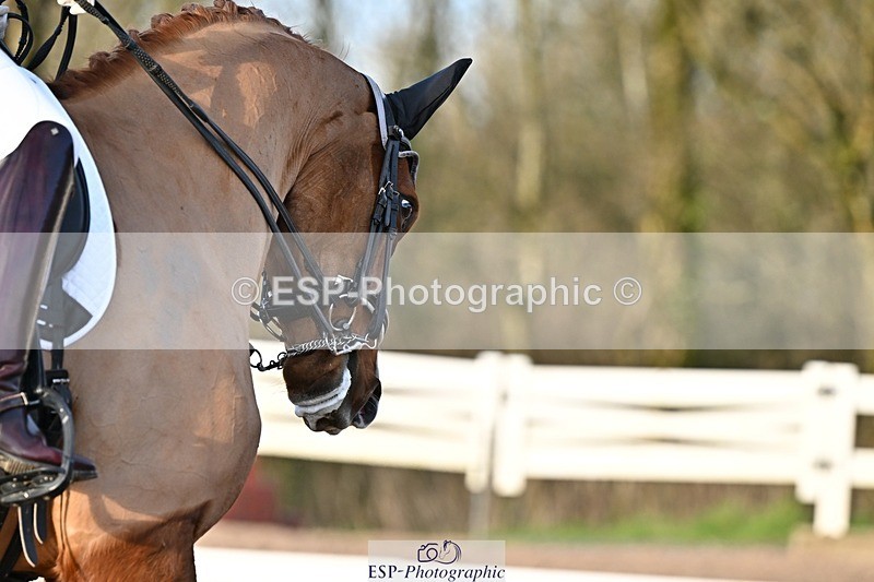 241214-142252-02820 - 112-kelly.jewell-Avalon