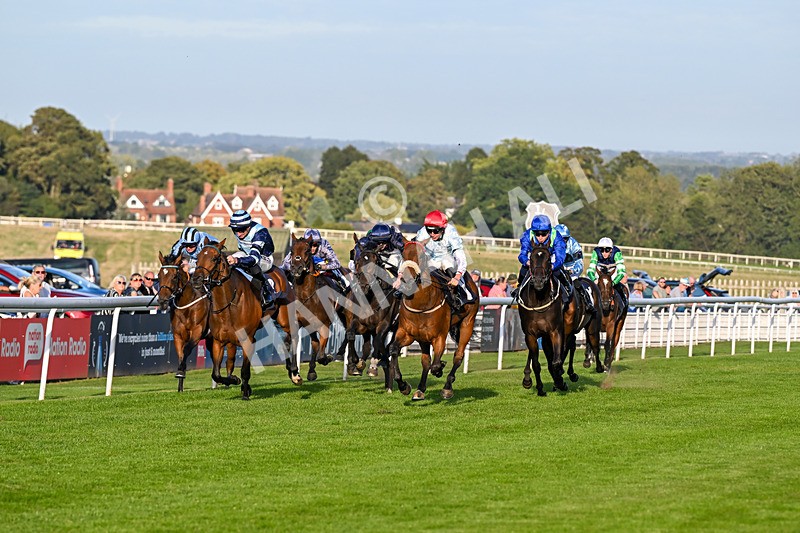 220926-Race 8-Horwich-5422 - Race 8 5.35pm End Of Season Handicap