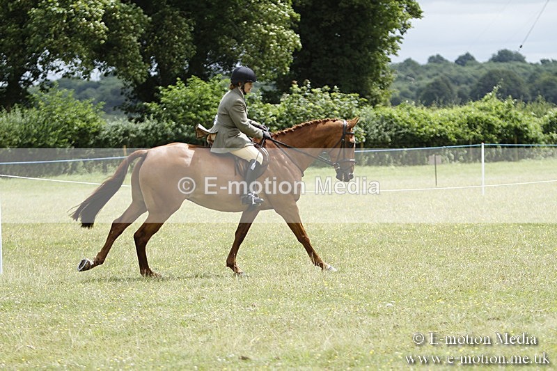 BVR160717-1826 - Ring 3 BVRC Show 16/07/17