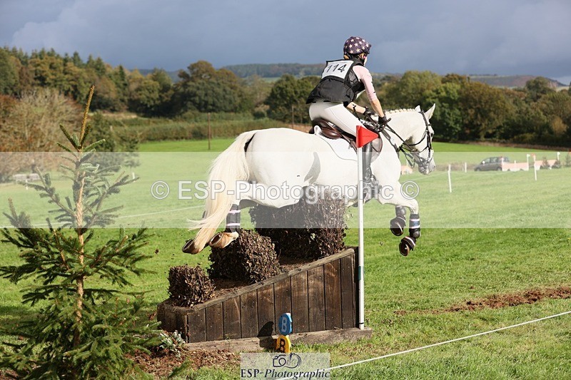 231020-140325-09262 - 114-LATINA'S.TWINKELING-Pippa.Haslam-XC