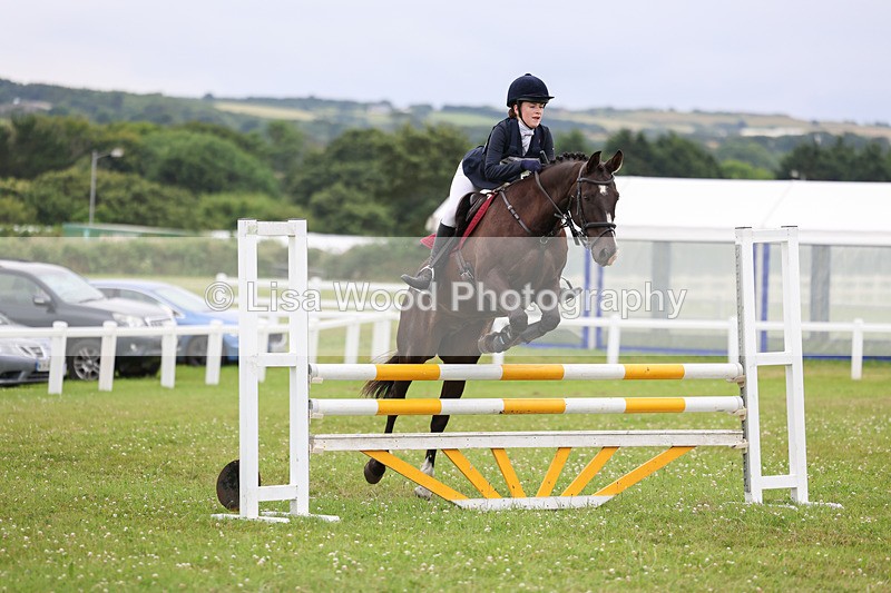 3E7A7104 - Class 7: PC90cm Regional Championship Qualifier Rnd 2 (A)