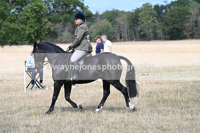 WJ7_5867 - Class 13 Ridden Veterans