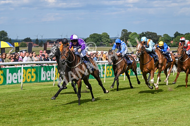 080624-Race 5-Ludos Landing-1459 - Race 5