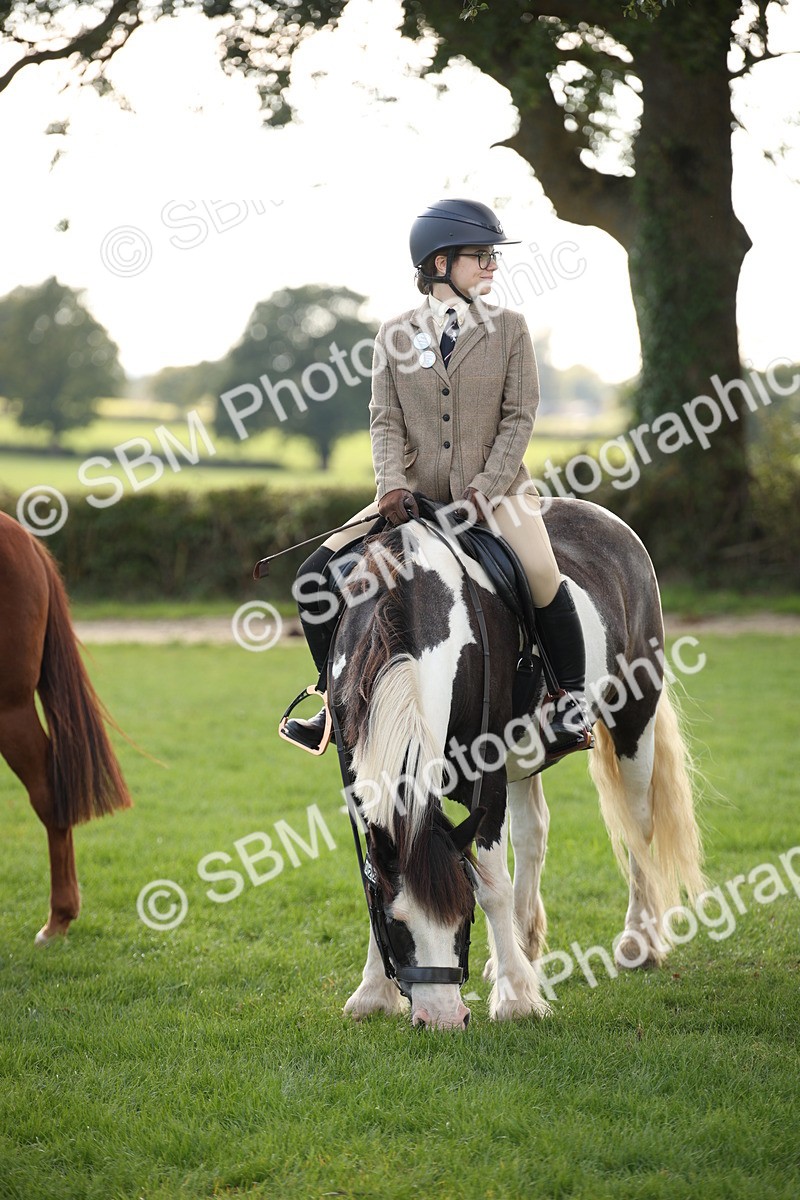 SBM_54277 - S27 - Mature Veteran - Ridden