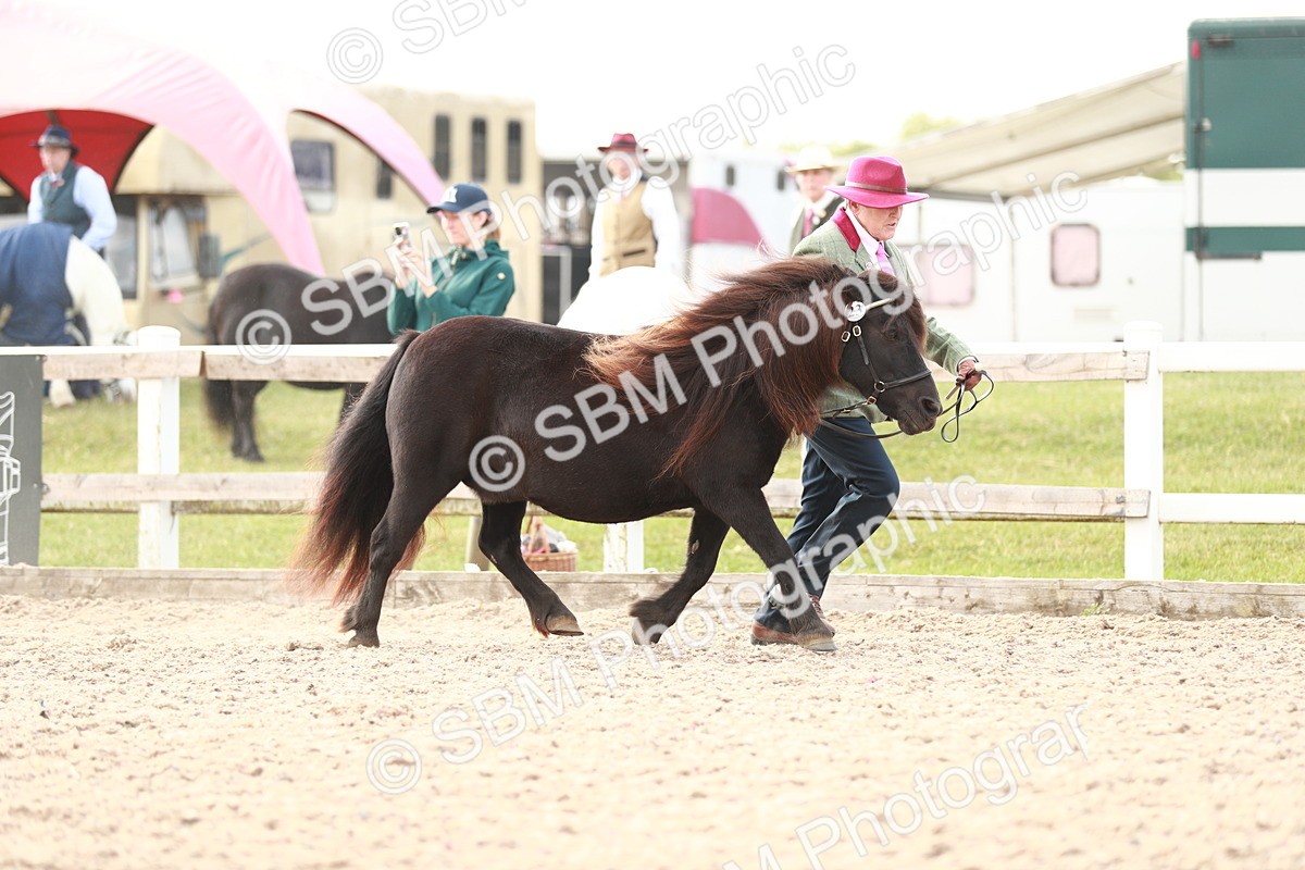 SBM_11779 - Class 206 IH Non Show Type Pony