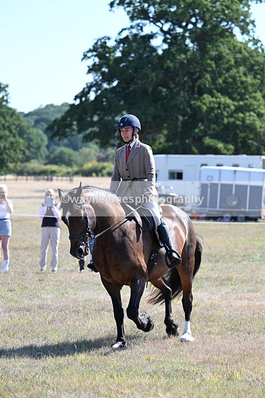 WJ7_3909 - Class 9 Mountain & Moorland Ridden