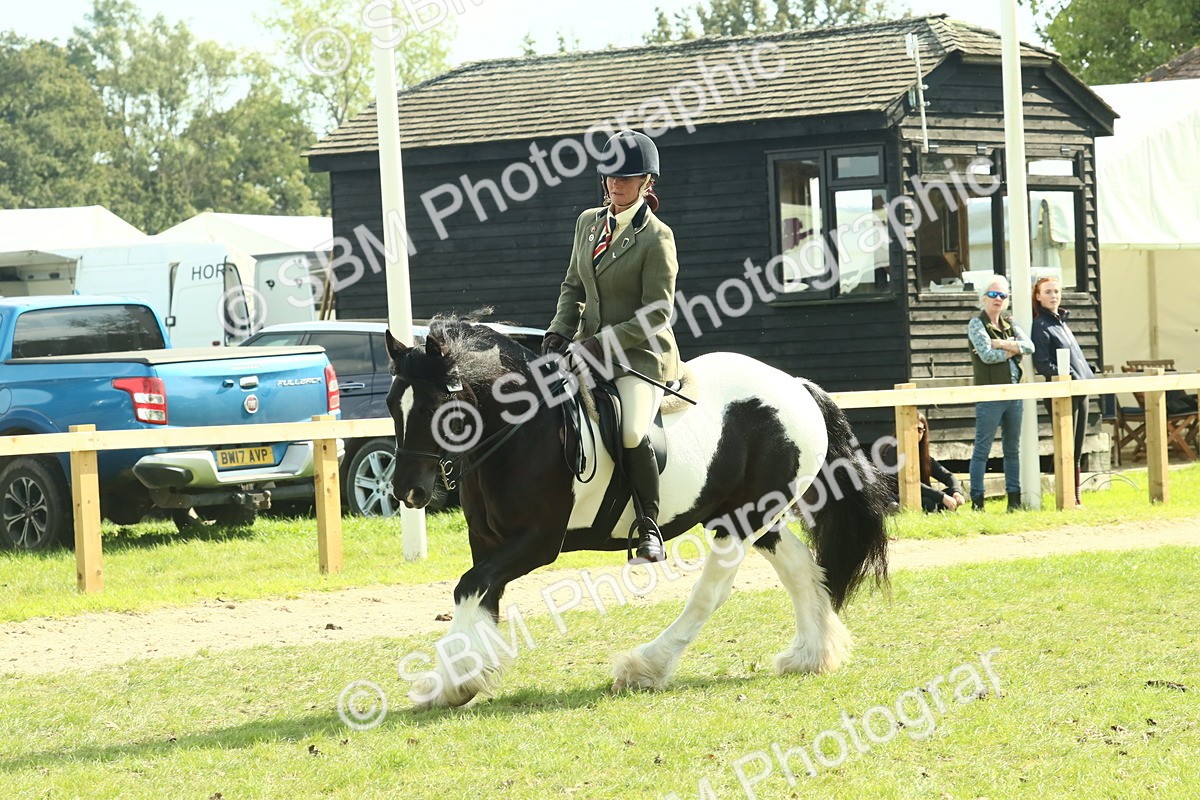 SBM_67576 - S56 - Coloured Pony Ridden