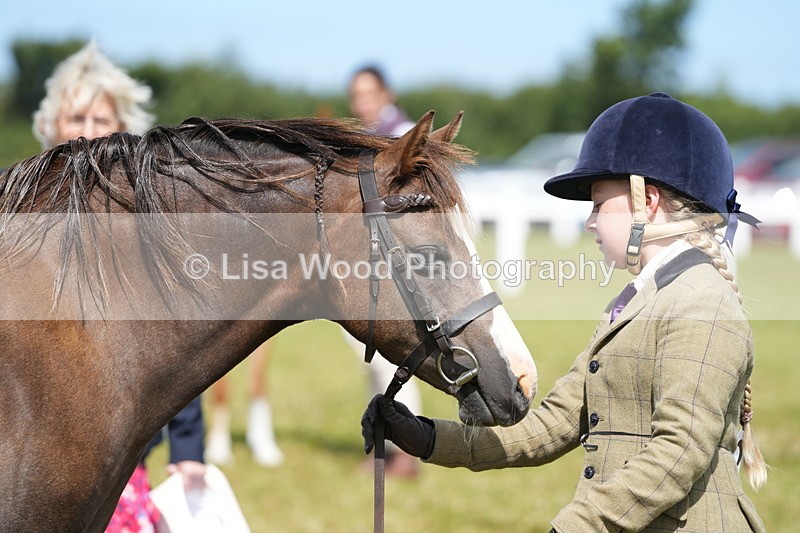 DSC05550 - Class 50: NPS M&M 4 years and over Small Breeds