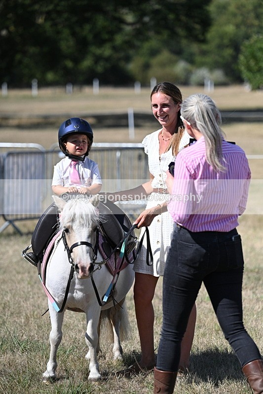WJ7_1355 - Class 41 Prettiest Mare