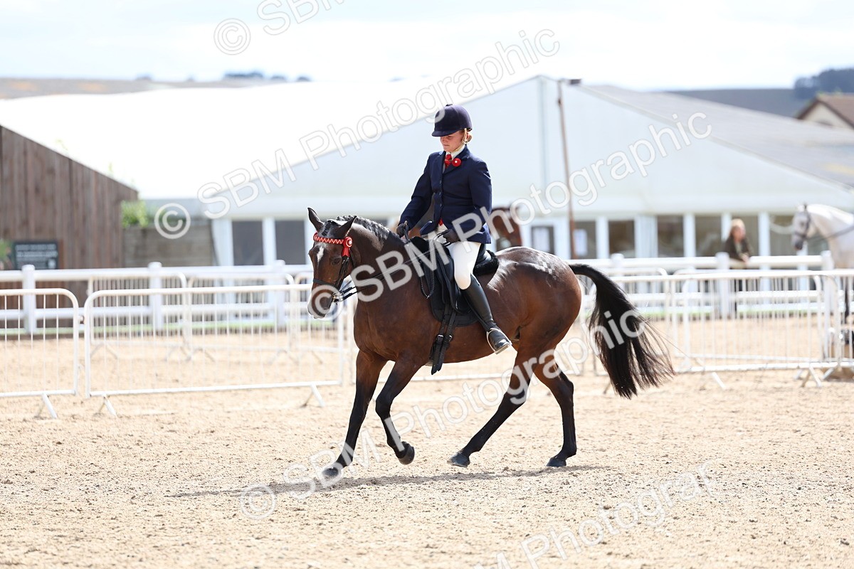 SBM_13296 - Class 311 - Ridden Show Pony Show Hunter Pony