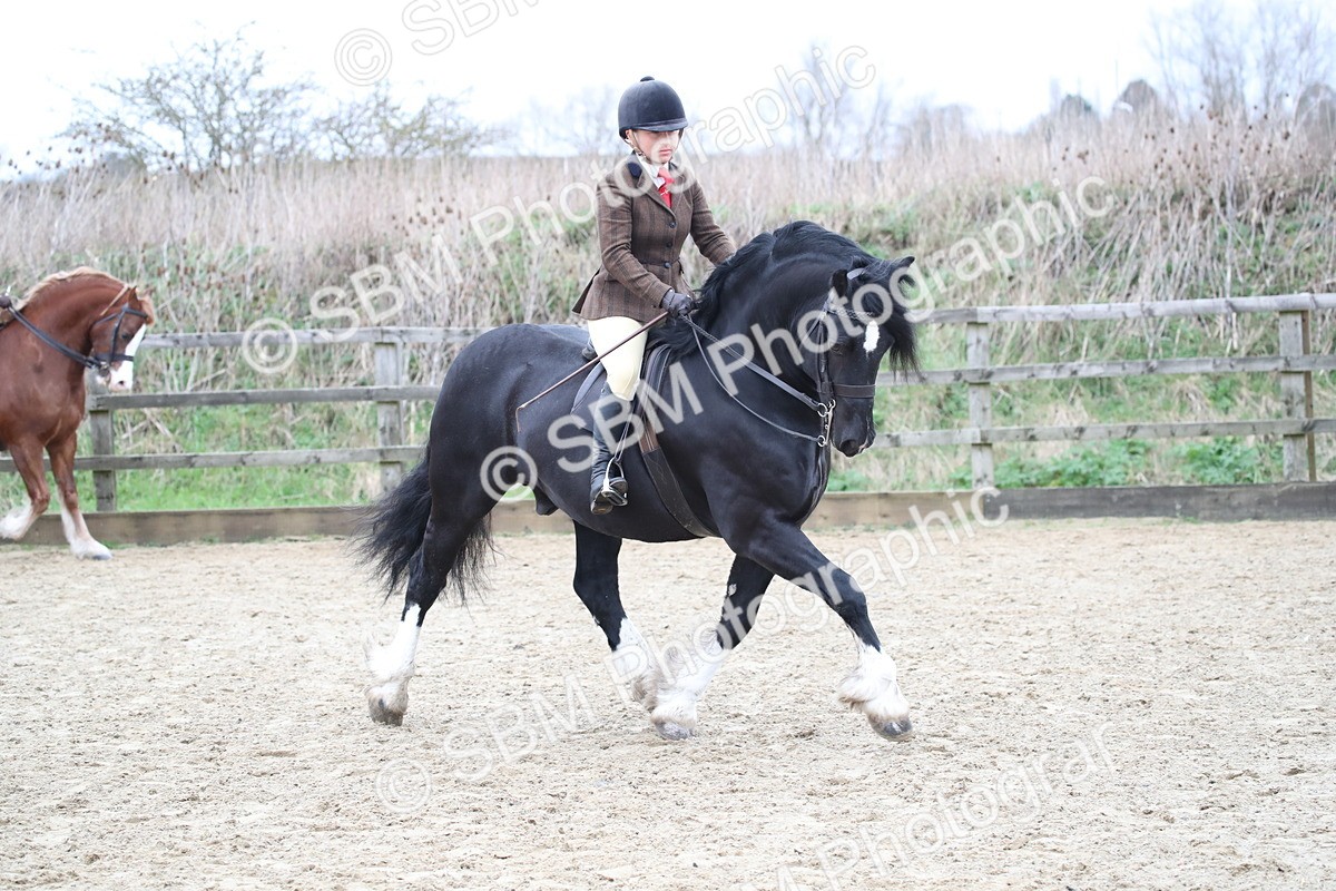 SBM_006307 - Class 10-13 - RIHS Small Large Breeds
