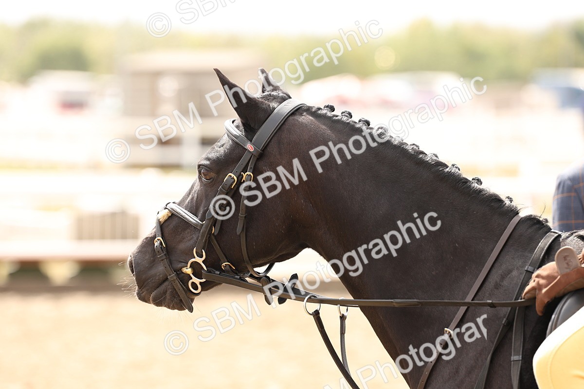 SBM_06150 - Class 57a -  Style & Performance - 60cm (15-19)