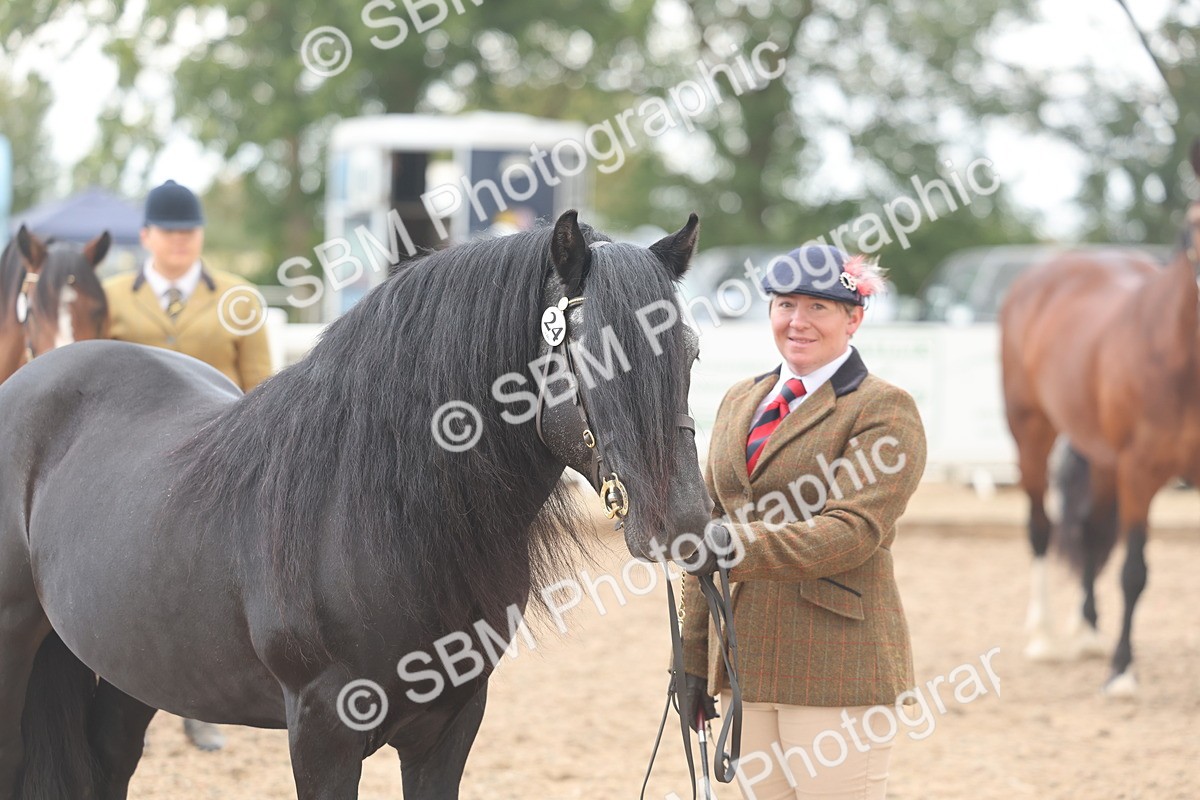 SBM_03242 - Class 16 - IH M&M Wildcard