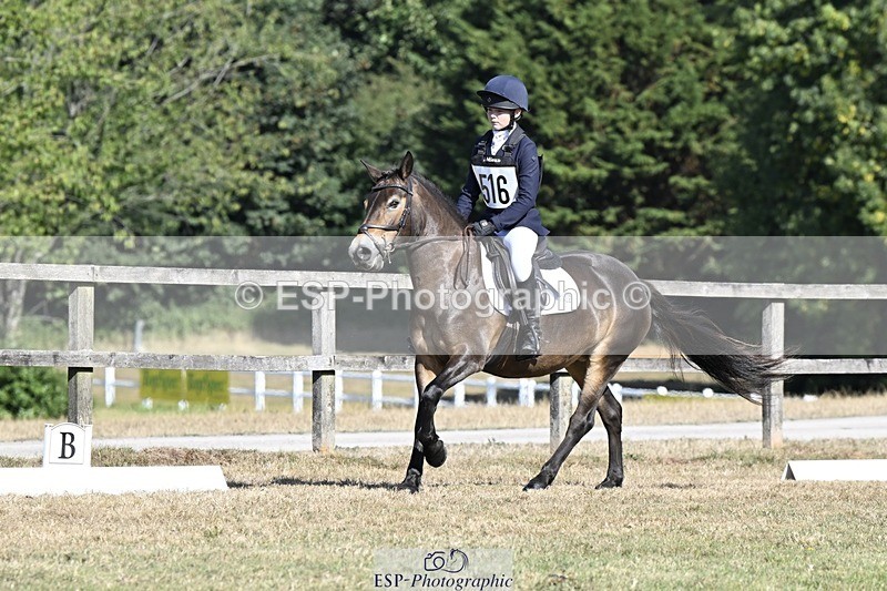 250822A-101447-20186 - DR 10.00 to 11.00