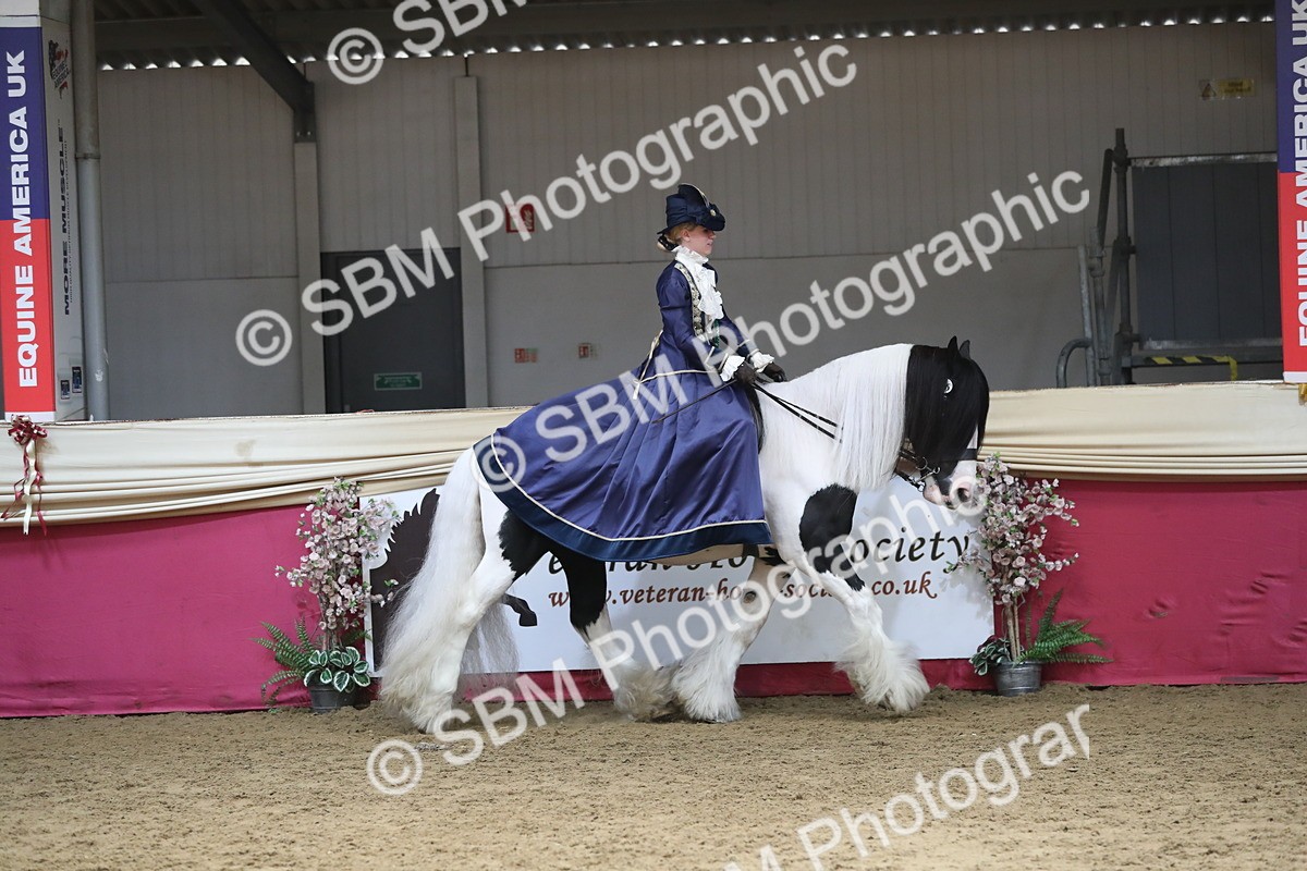 SBM_12080 - Class 106 Ridden Costume- Astride Adult (15-19)