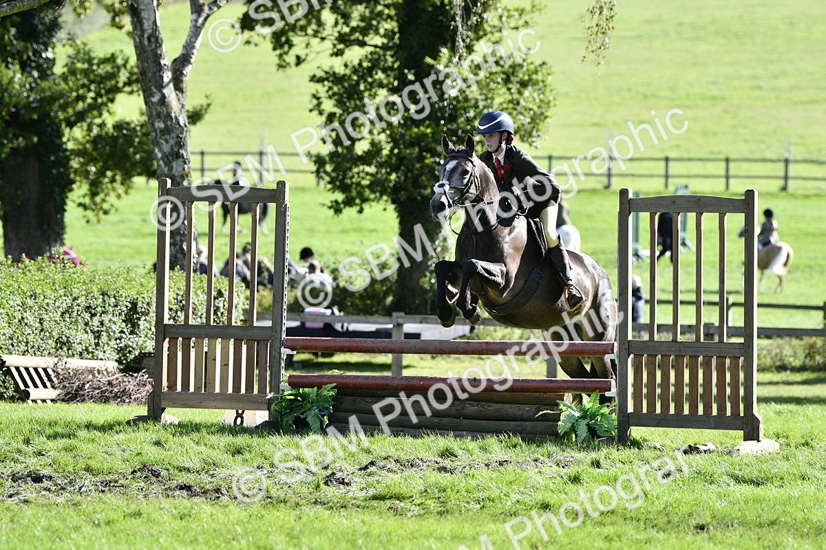 SBM_49994 - S34 - Novice & Newcomers Working Hunter