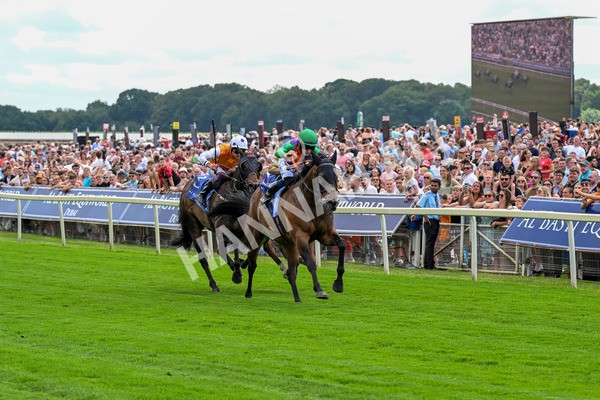 280625-Race 2-Quinault-0134 - Race 2 2.25pm Al Basti Equiworld Dubai Criterion Stakes