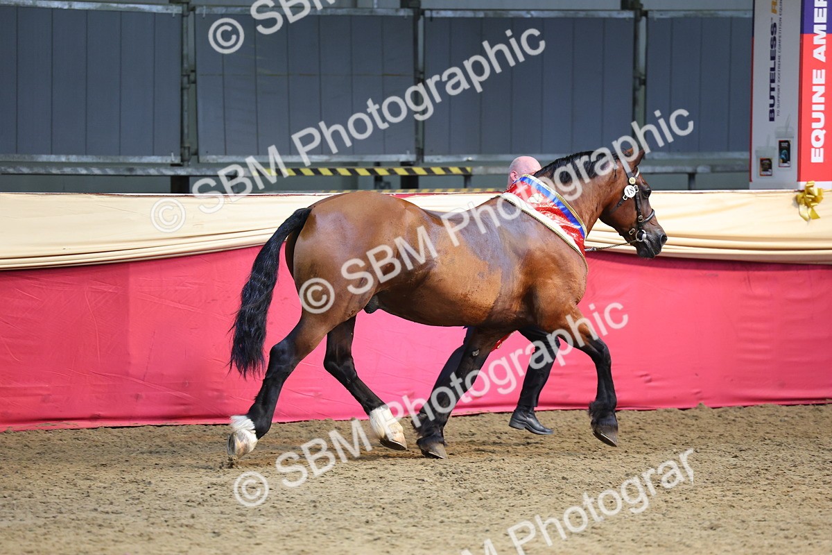 SBM_25026 - Grand Supreme Final Overall Champion