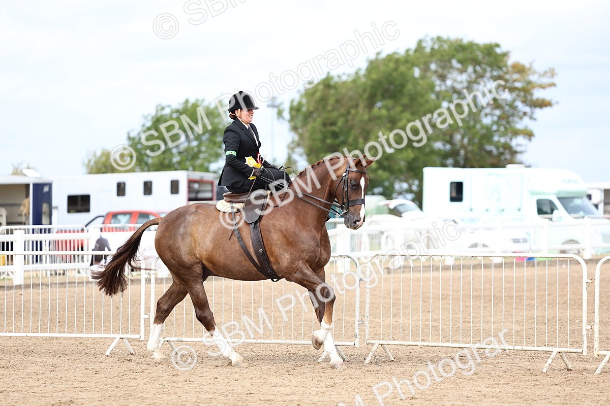 SBM_03368 - Class 23 - SSA Classical (any age)