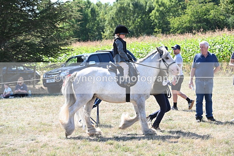 WJ6_7831 - Class 36 Lead Rein
