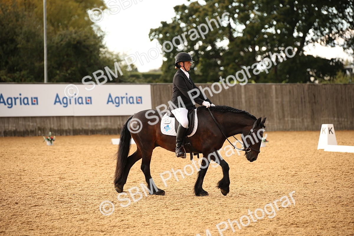 SBM_12404 - D3 Small  Tour Championship Intro A