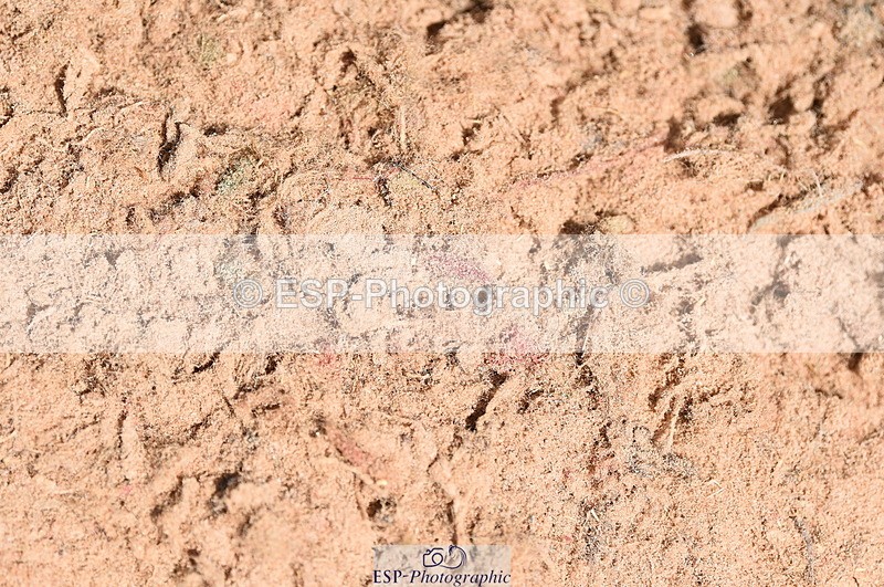 230526A-115010-01590 - Cls 9 Discovery & 1m Open