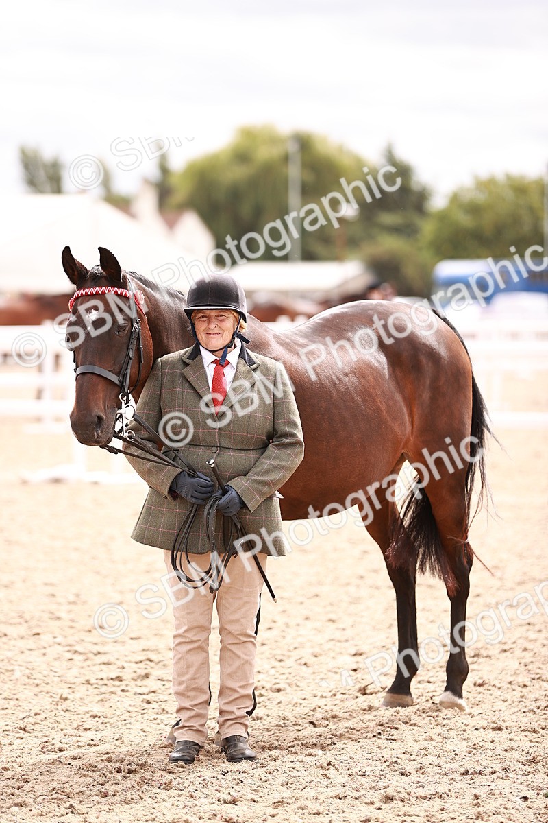 SBM_16327 - Class 413 - Best Condition - Adult