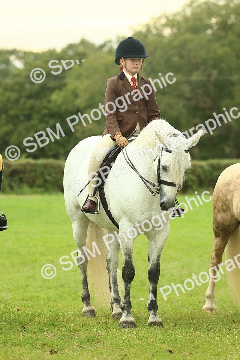 SBM_72203 - S60 - Mountain & Moorland Ridden Large Breeds