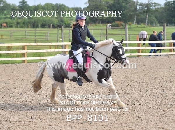 BPP_8101 - CLASS 11 SUN  Club/ Unaffiliated 60cms Open