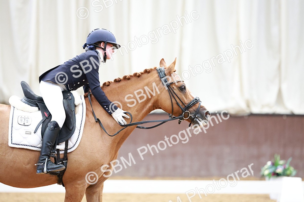 SBM_017095 - Class15 - FEI Pony