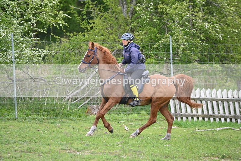 WJ6_3228 - A camera