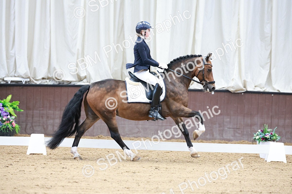 SBM_017155 - Class15 - FEI Pony