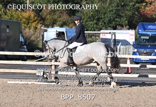 BPP_8507 - SHORT ARENA INTRO 1