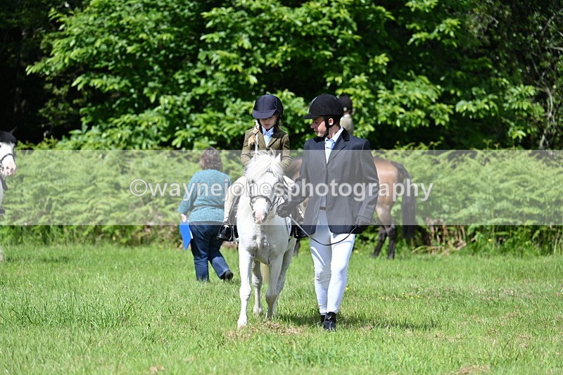 WJ7_1205 - Class 11 Condition & Turnout